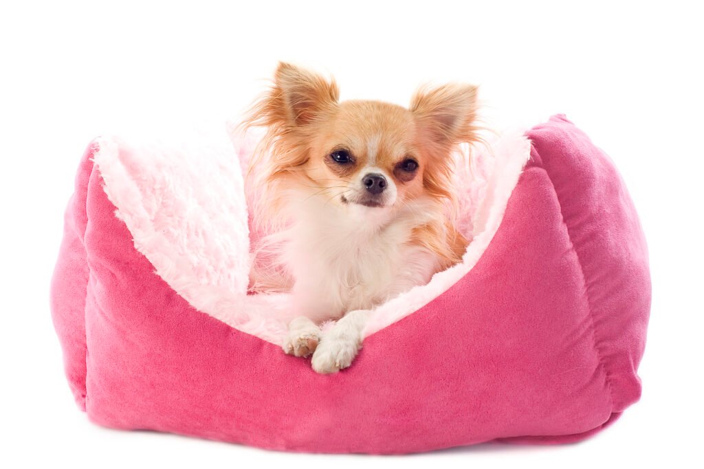 camas relajantes para perros